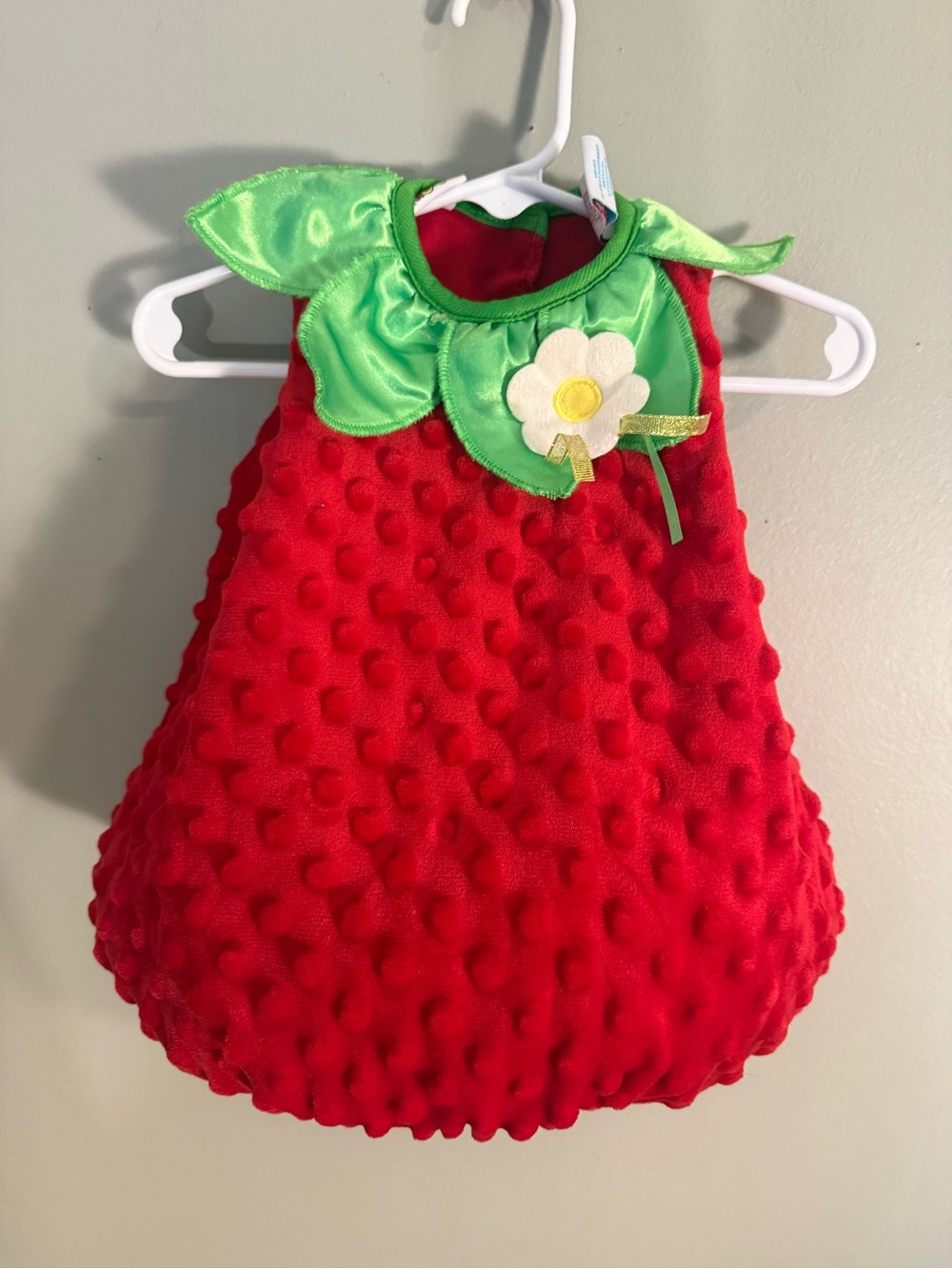 Fun of a Kind Strawberry Baby Costume Plush Dress 3-6M Halloween